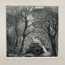 Load image into Gallery viewer, In a wild place