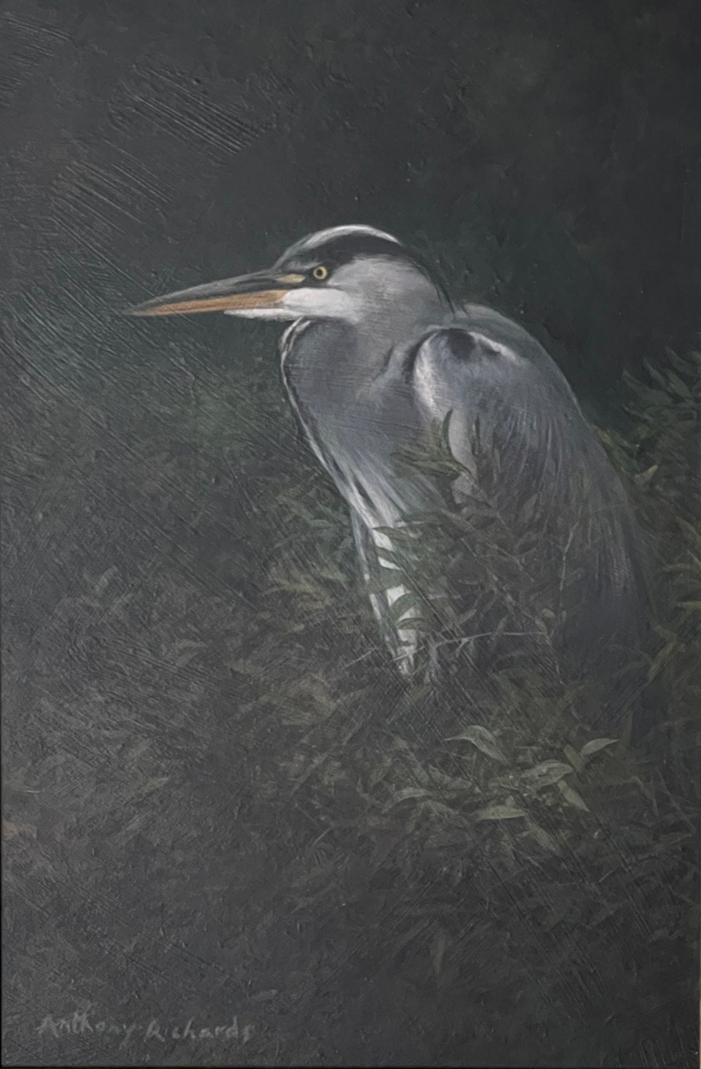 Heron in Foliage