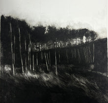 Load image into Gallery viewer, Moonlight at Whitford
