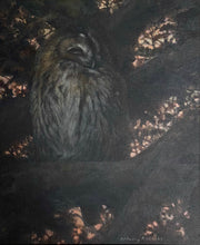 Load image into Gallery viewer, Twilight Owl
