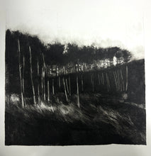 Load image into Gallery viewer, Moonlight at Whitford
