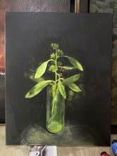 Load image into Gallery viewer, Eucalyptus
