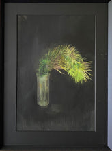 Load image into Gallery viewer, Pinwydd yr Alban : Scotts Pine
