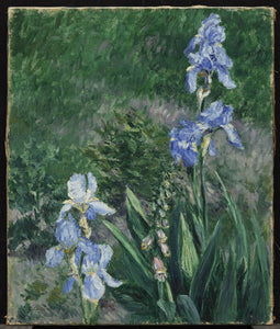 The Blue Garden : Talk with Jess Jones