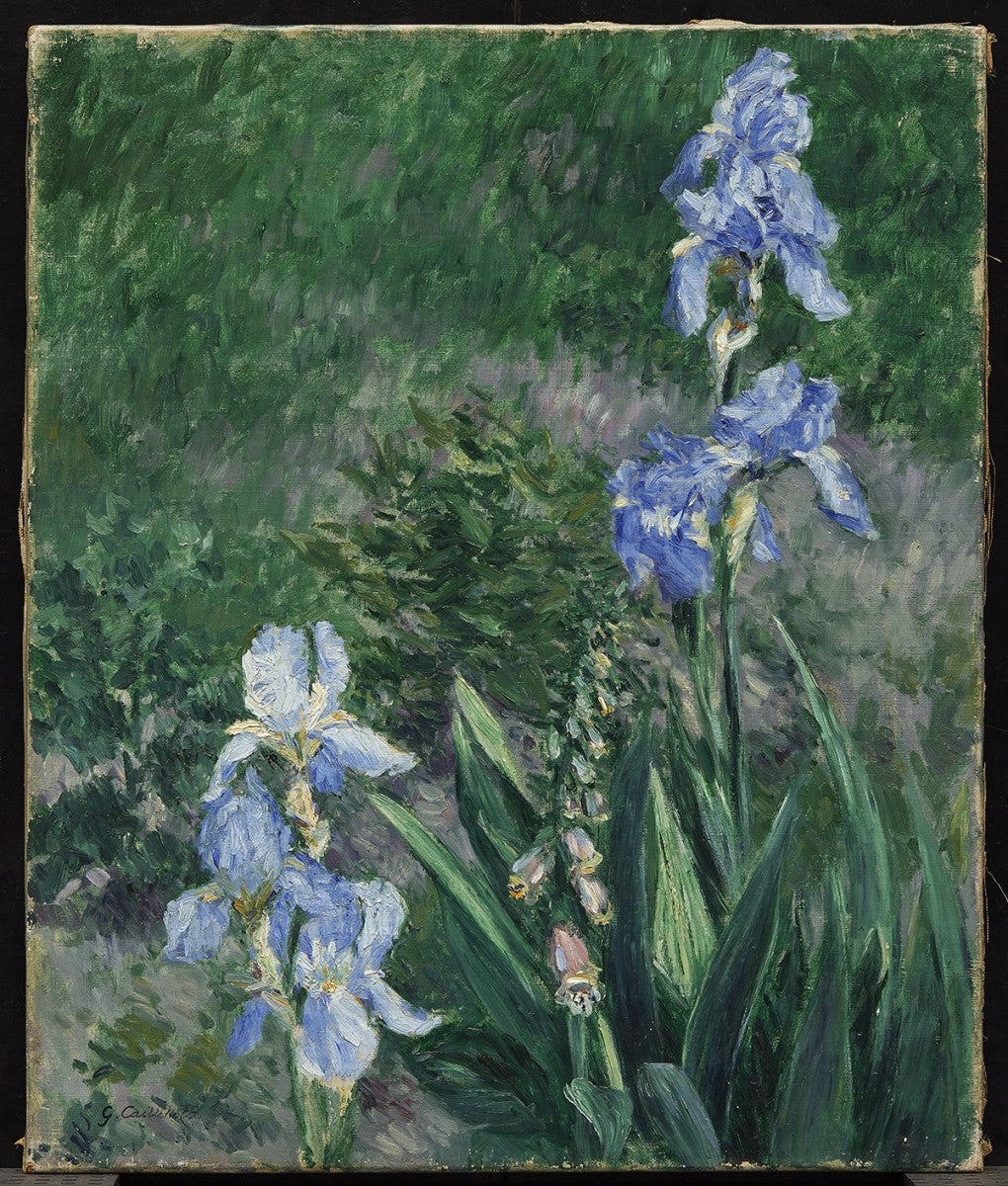 The Blue Garden : Talk with Jess Jones