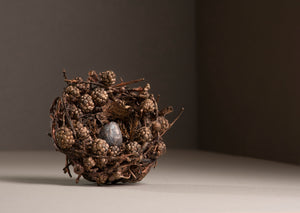 Blackberry Nest with Egg