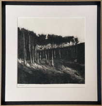 Load image into Gallery viewer, Moonlight at Whitford
