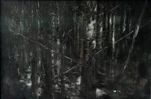 Load image into Gallery viewer, Cnwc
