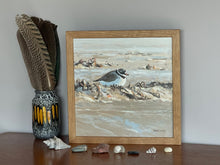 Load image into Gallery viewer, Ringed Plover by David Cowdry
