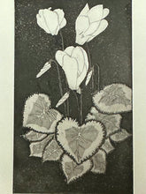 Load image into Gallery viewer, Cyclamen
