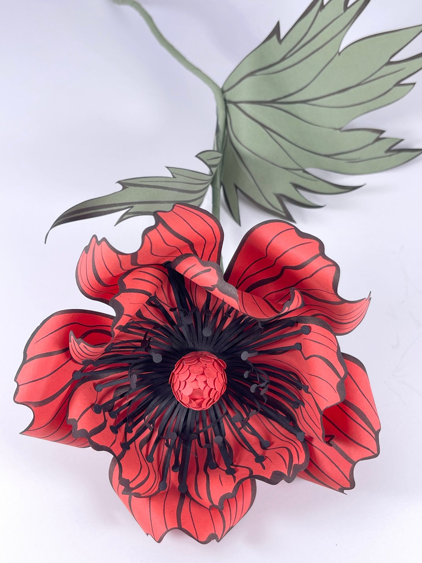 Sustainable Poppy Flower : Coral Red