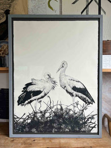 Knepp Storks