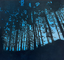 Load image into Gallery viewer, The Burrows on Paper : Mounted
