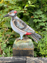 Load image into Gallery viewer, Woody
