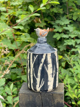 Load image into Gallery viewer, Wren on Pot
