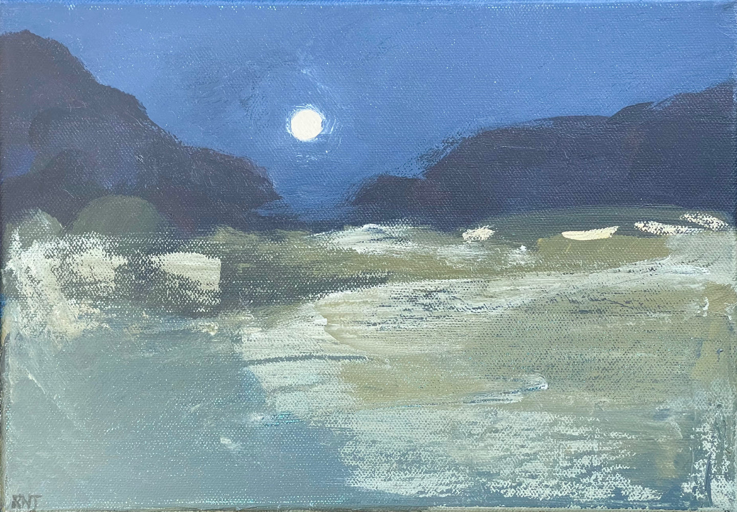 Moonlit Beach