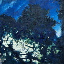 Load image into Gallery viewer, Night Lights

