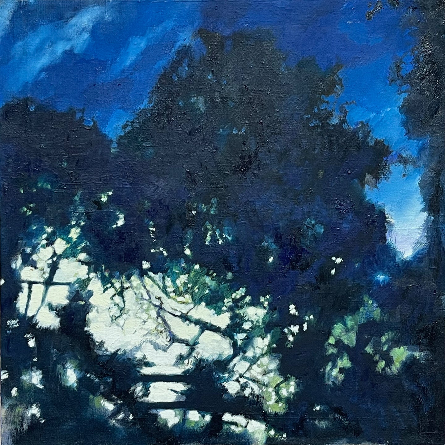 Night Lights
