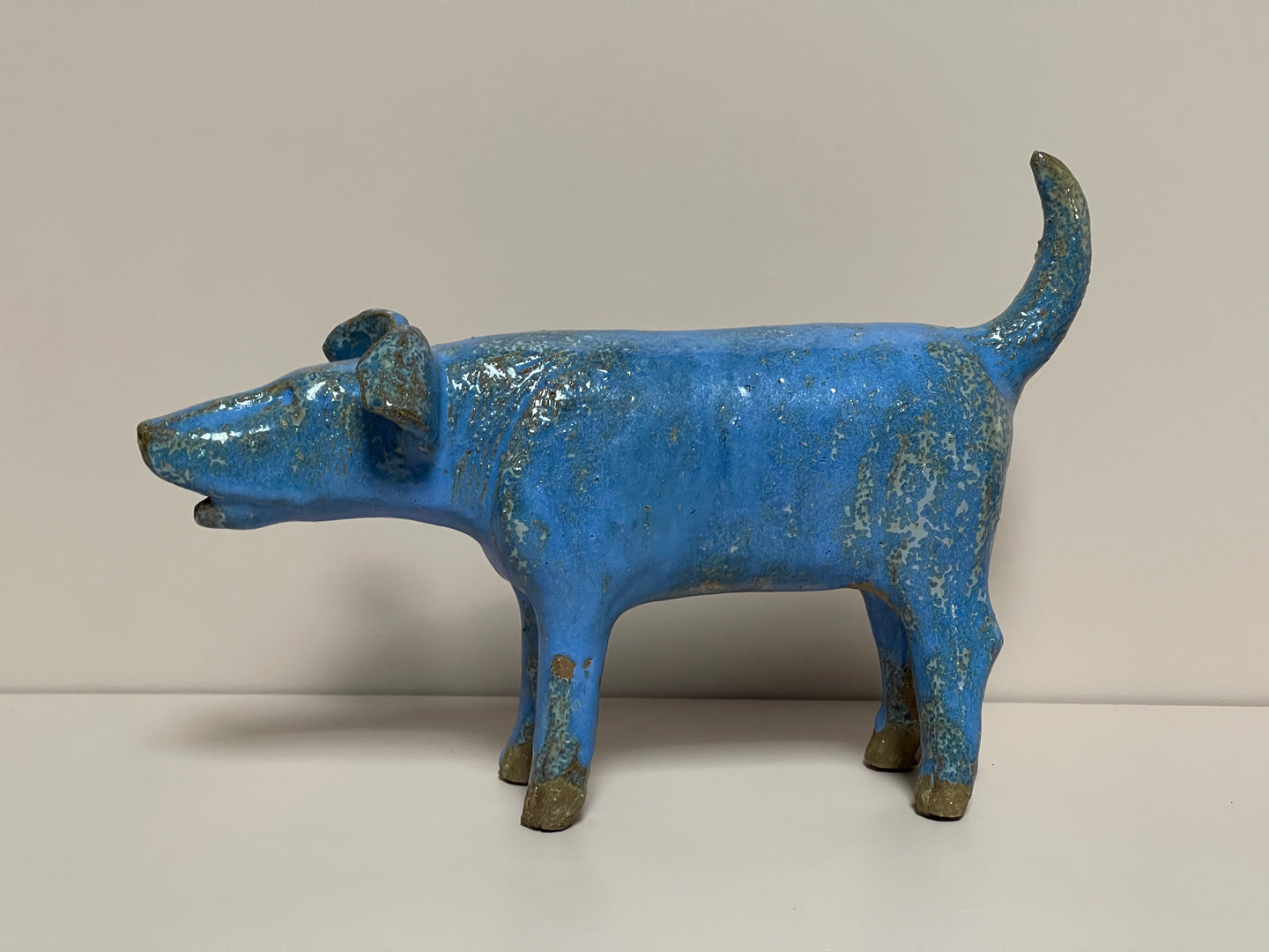 Blue Dog