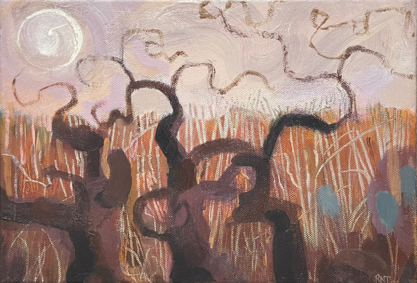 Curly Willows at the Reed Beds