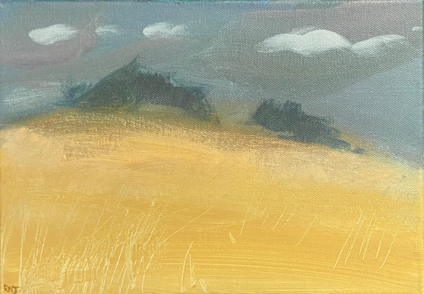 Preseli Landscape