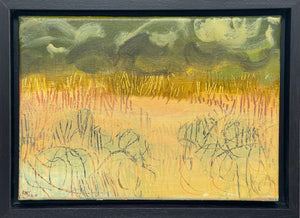 Storm Grasses