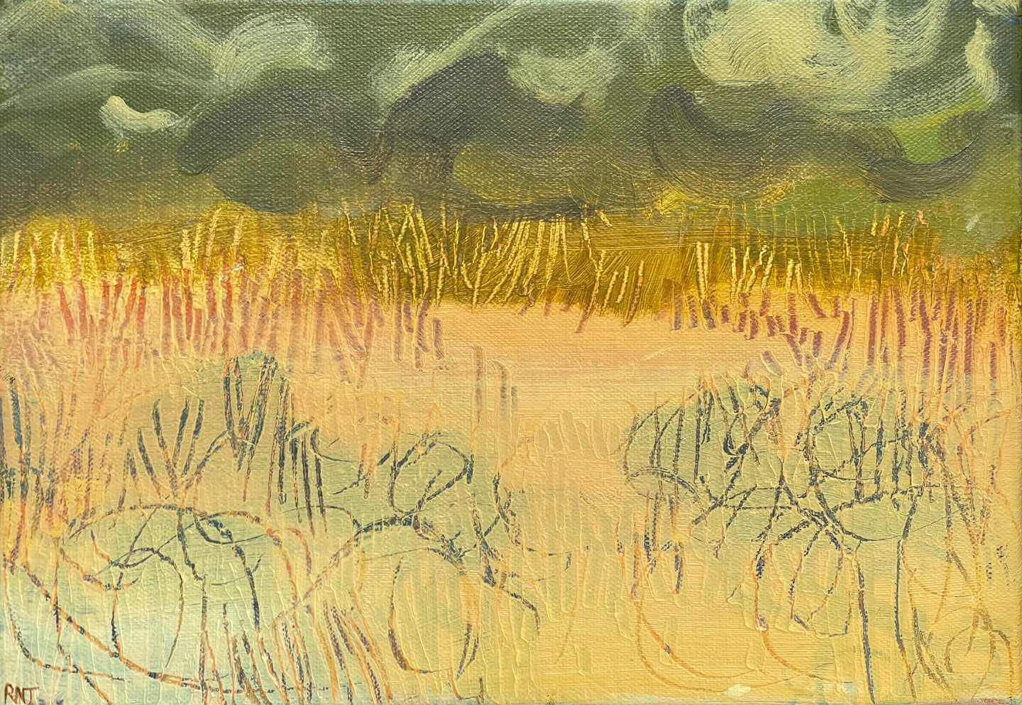 Storm Grasses