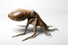 Load image into Gallery viewer, Octopus

