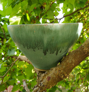 Mulberrywood Ash Fruit Bowl