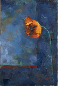 Orange Poppy