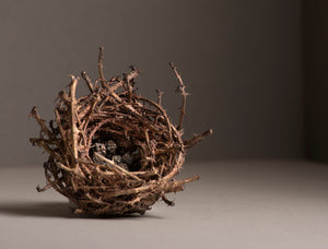 Nest with Blackberries
