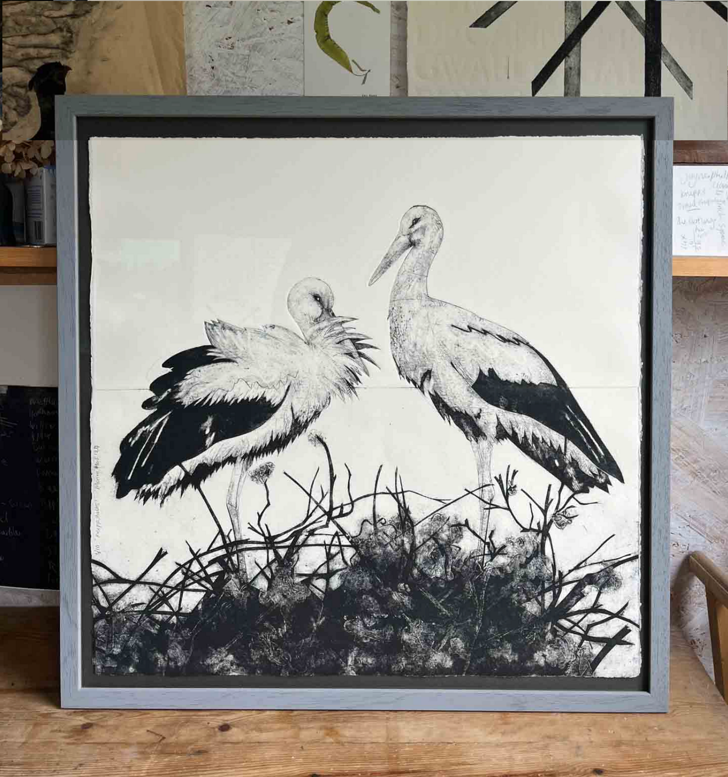 Knepp Storks