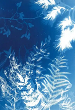 Load image into Gallery viewer, Cyanotype Workshop with Michèle Wright
