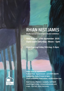 Rhian Nest James - appointment