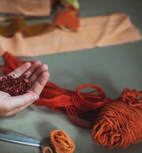 Load image into Gallery viewer, Botanical Dyeing Workshop with Madder with Siân Lester

