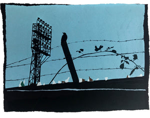 The Vetch
