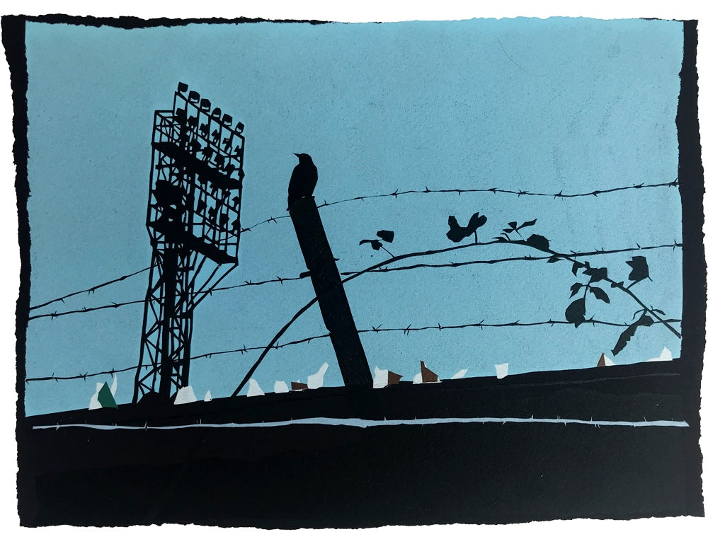 The Vetch