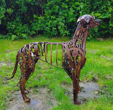 Load image into Gallery viewer, Greyhound
