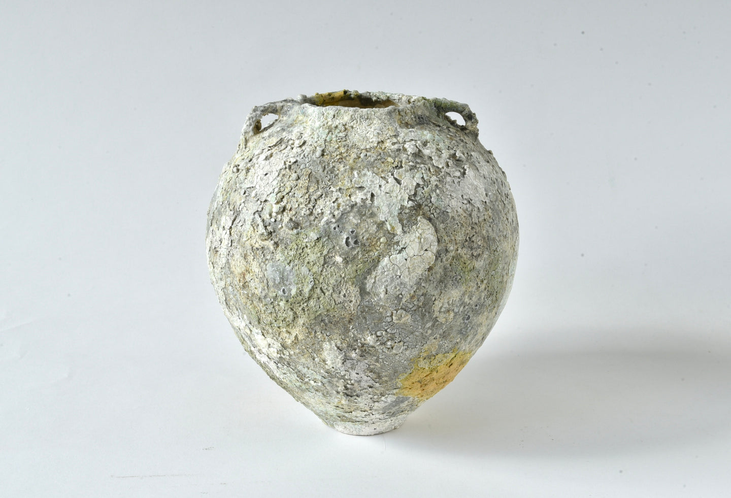 Lichen Vessel : 15.5cm