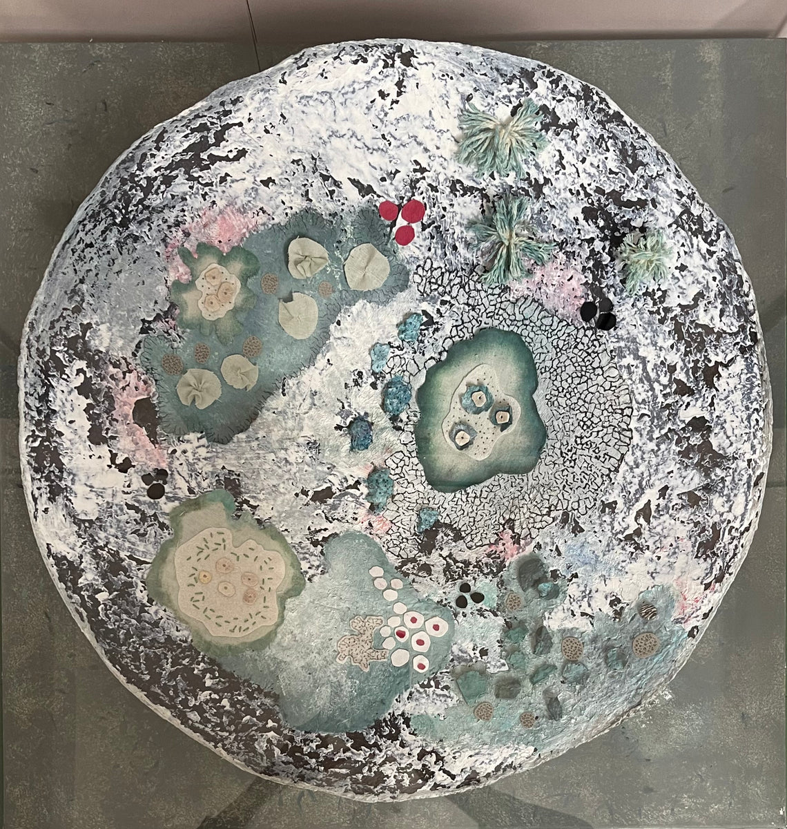 Lichen : Concave Disc – Studio Cennen