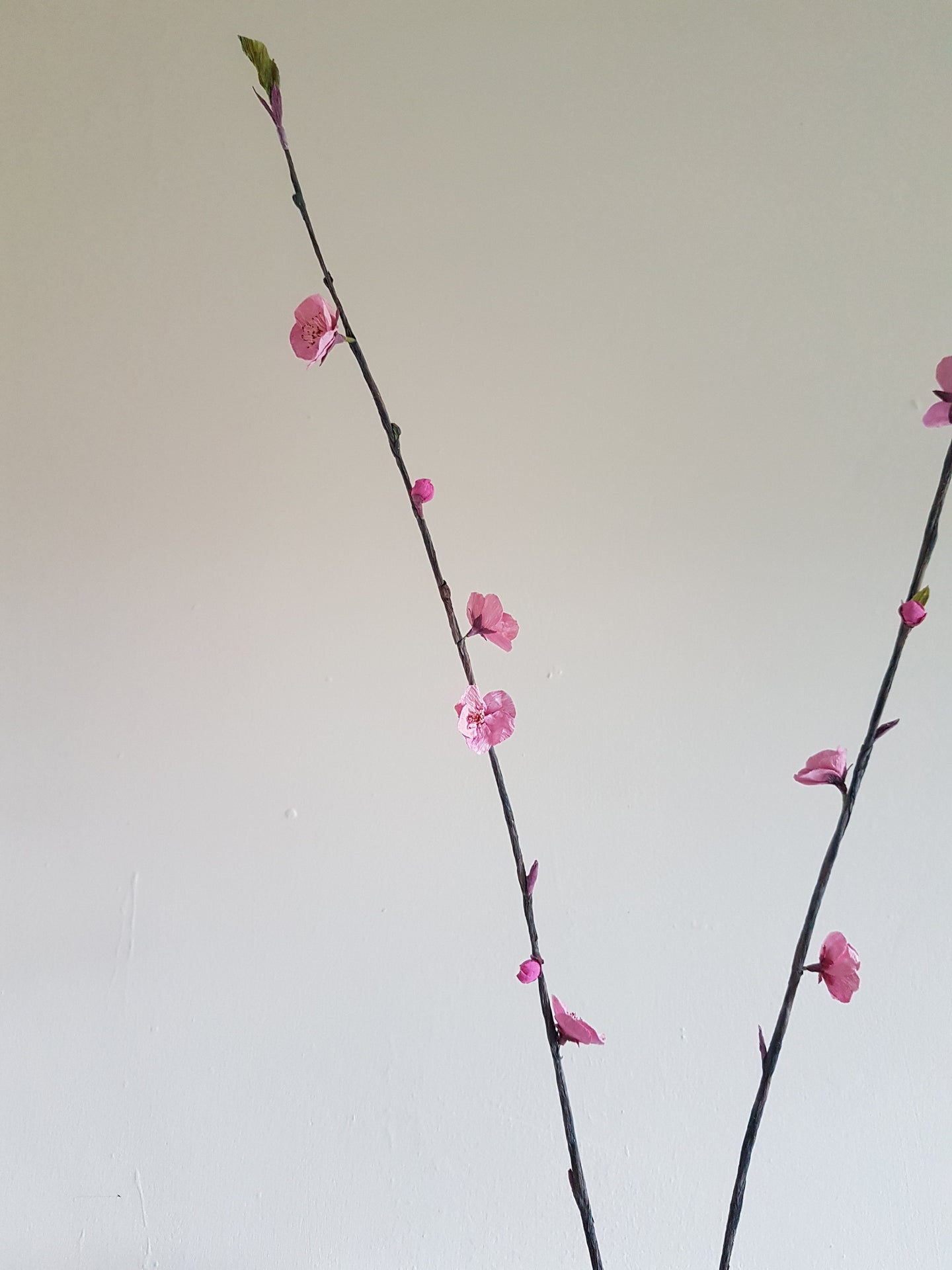 Paper Cherry Blossom