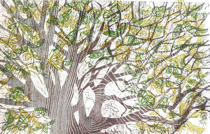 Coeden Bywyd : Tree Of Life