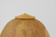 Load image into Gallery viewer, Sweet Chestnut and Boxwood Lidded Vessel
