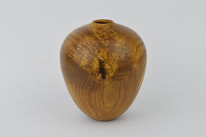 Burr Laburnum Hollow Form