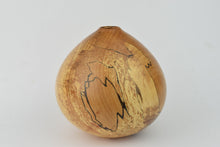 Load image into Gallery viewer, Spalted Beech Hollow Form
