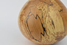 Load image into Gallery viewer, Spalted Beech Hollow Form
