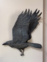 Load image into Gallery viewer, Wall Hung Crow
