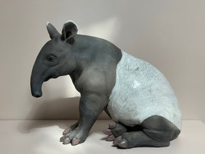 Malaysian Tapir ll