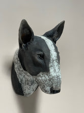 Load image into Gallery viewer, Bully (English Bull Terrier)
