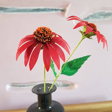 Load image into Gallery viewer, Red Echinacea
